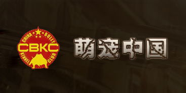 企业展示型 北京网站建设 网站设计 网站制作 网站建设公司,响应式网站制作 010 62924675