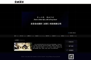 石家庄网站建设 石家庄网制作 石家庄网络公司 河北供求网