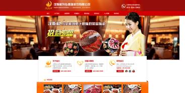 案例 北京网站建设 网站设计 网站制作 网站建设公司,响应式网站制作 010 62924675